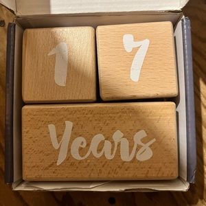 baby milestone blocks wood